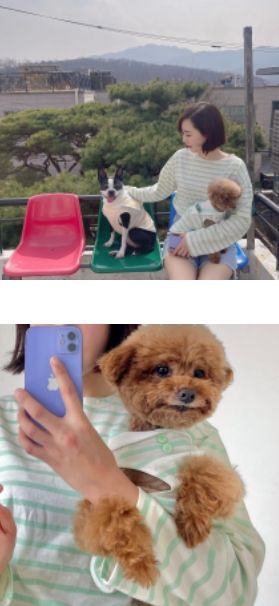 [무료배송] 찰리롤리 조이 세일러 티셔츠 커플룩 민트/옐로우/네이비/핑크 S-2XL 12번째