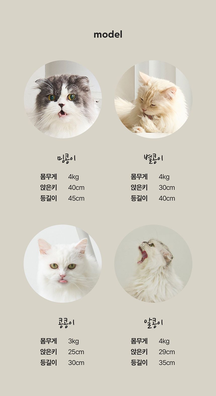 [NEW신상][무료배송] 두잇 미니 캣타워(1층 카펫 스크래쳐 포함) 23번째