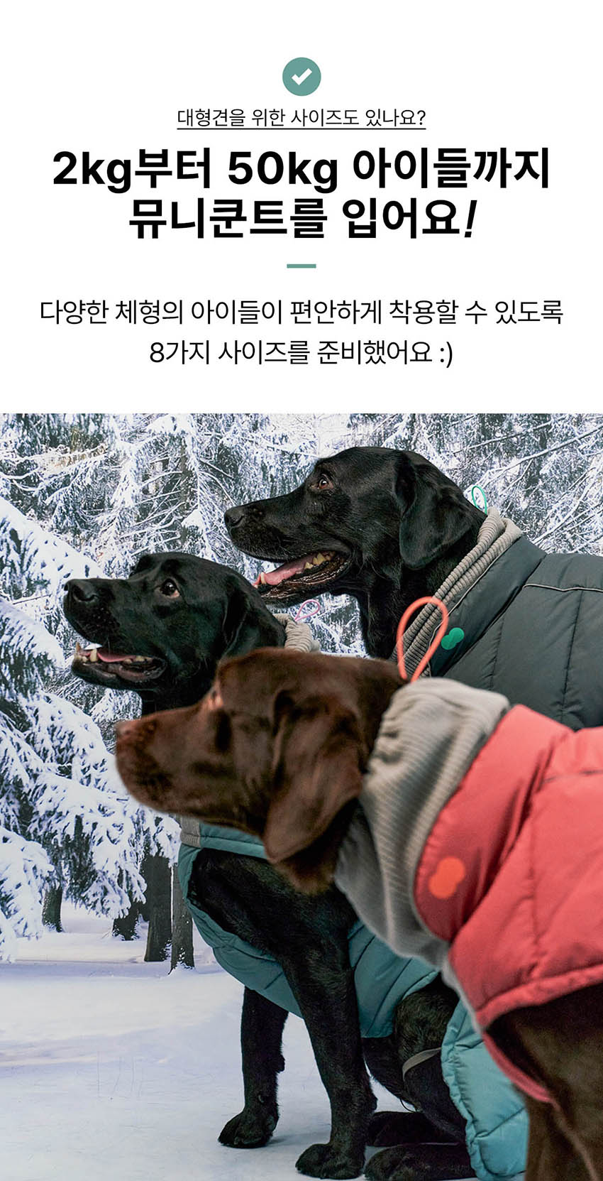 [무료배송] 뮤니쿤트 써멀업 패딩 에어 퍼플 S-6L 16번째