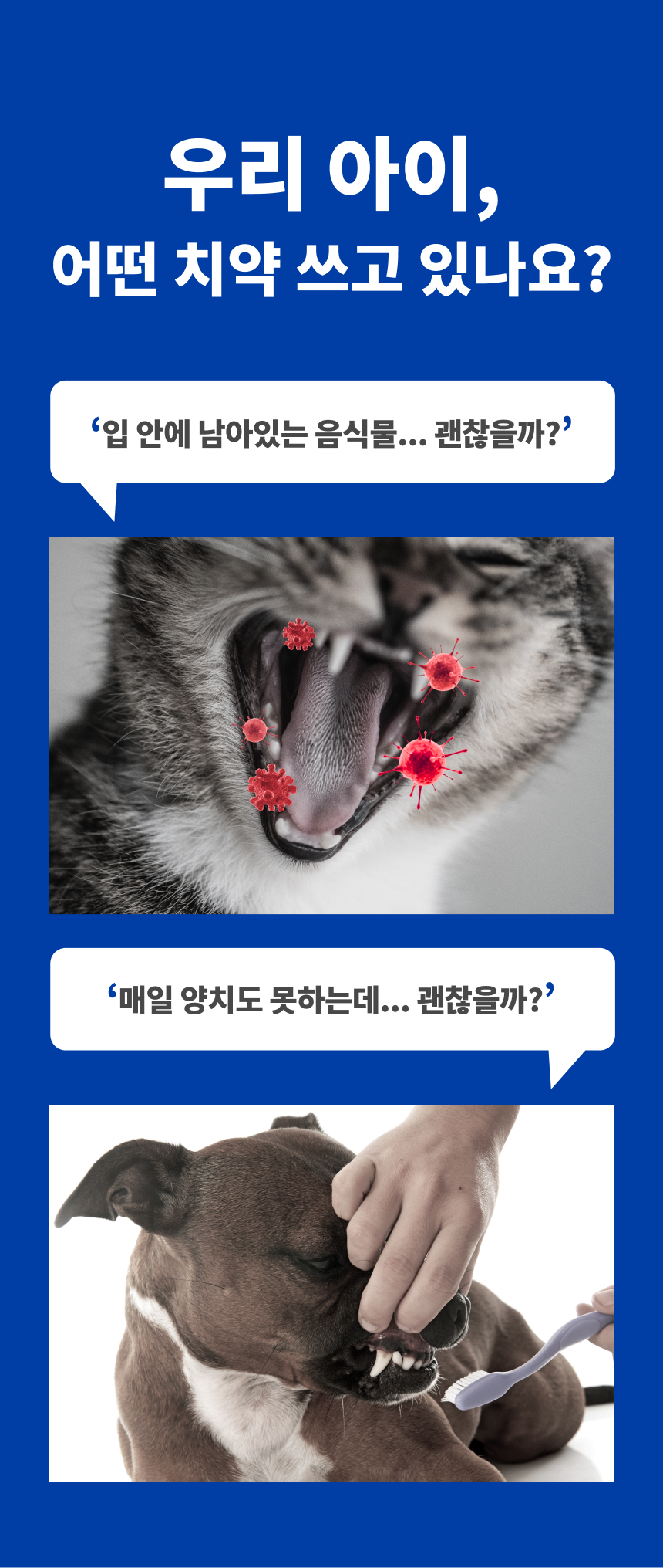 [무료배송] 피터스랩 메디퍼트 프로 6중 효소 프로폴리스 강아지 고양이 치약 60g 1번째