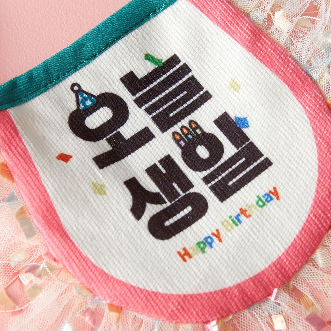 펫프굿즈 내새꾸 생일 파티 세트 5번