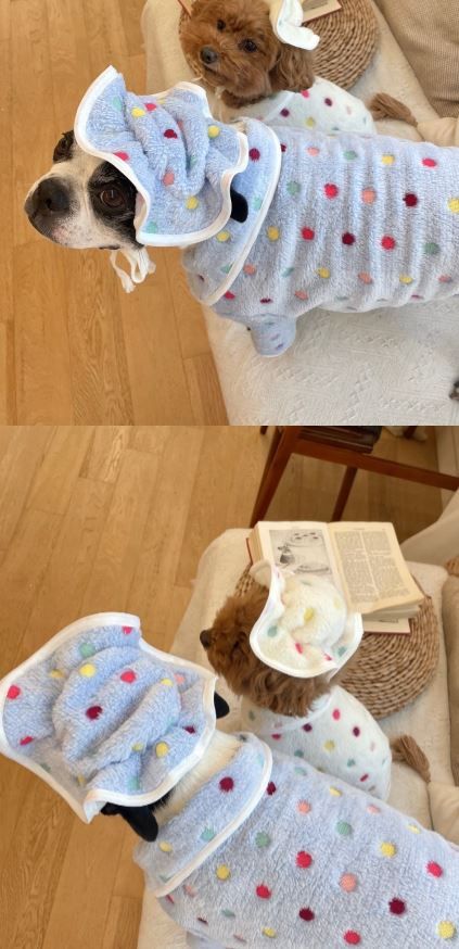 [무료배송] 찰리롤리 팝 땡땡이 체크 파자마 아이보리/소라/핑크 S-2XL 24번째