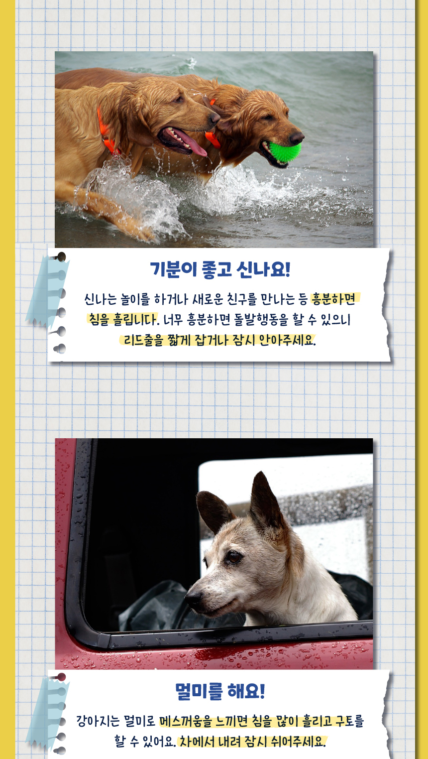 [무료배송] 애구애구 쁘띠도그빕 케이프 7종 S/L 8번째