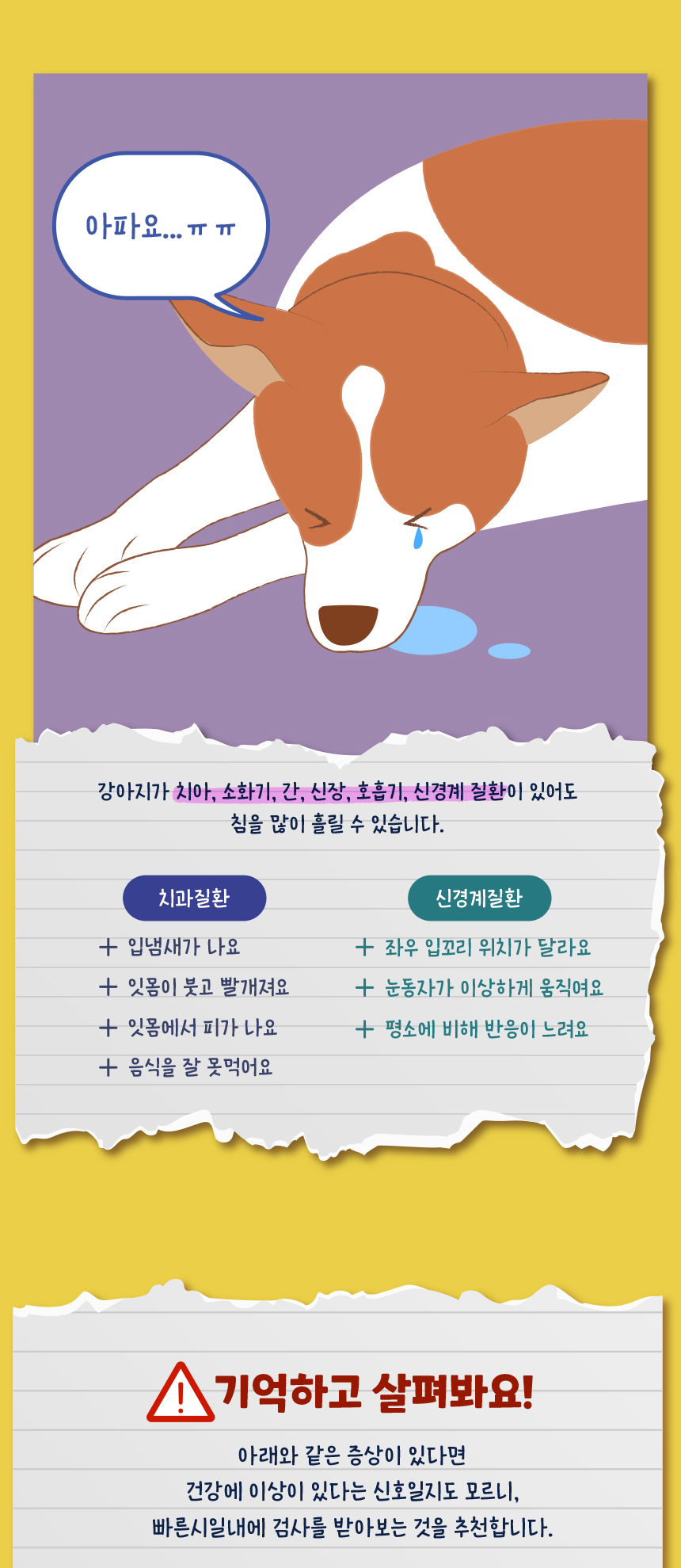 [무료배송] 애구애구 쁘띠도그빕 케이프 7종 S/L 10번째