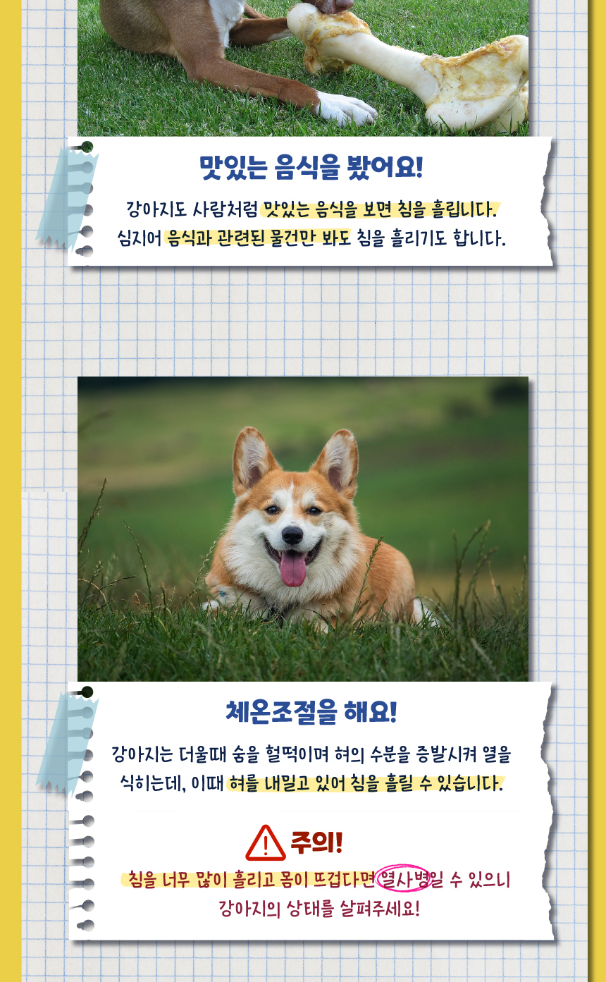 [무료배송] 애구애구 쁘띠도그빕 케이프 7종 S/L 7번째