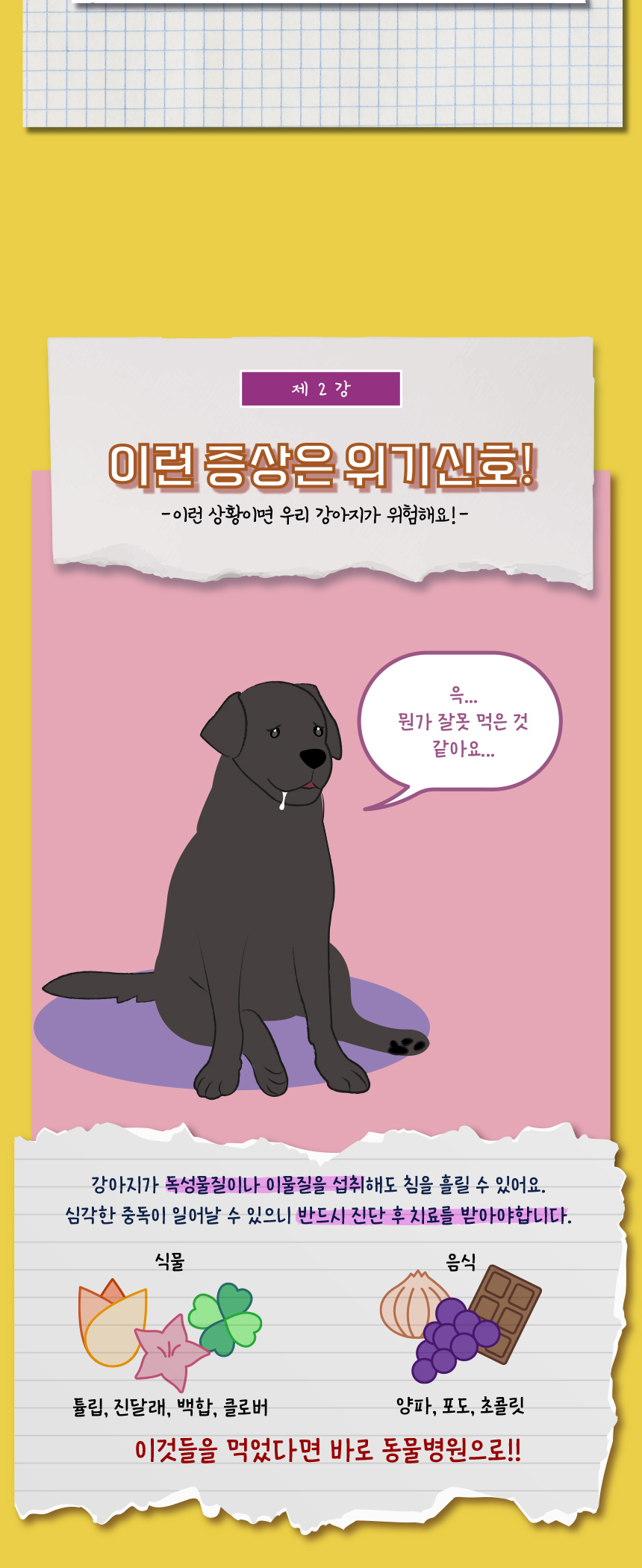 [무료배송] 애구애구 쁘띠도그빕 케이프 7종 S/L 9번째