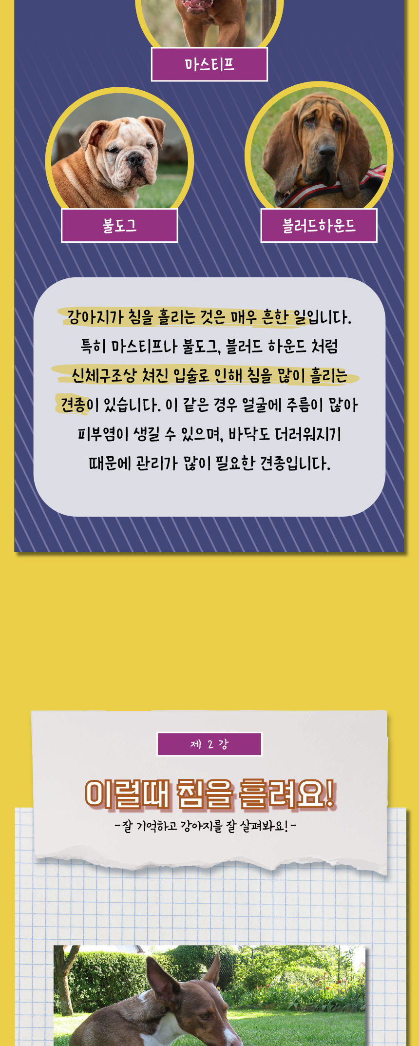 [무료배송] 애구애구 쁘띠도그빕 케이프 7종 S/L 6번째