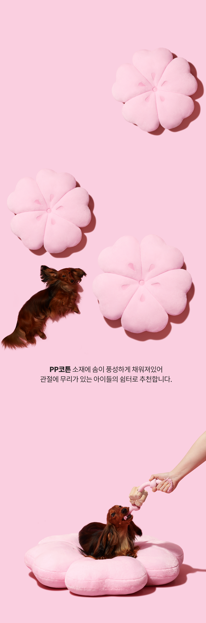 [무료배송] VETRESKA 체리블라썸 쿠션 대형  3번째