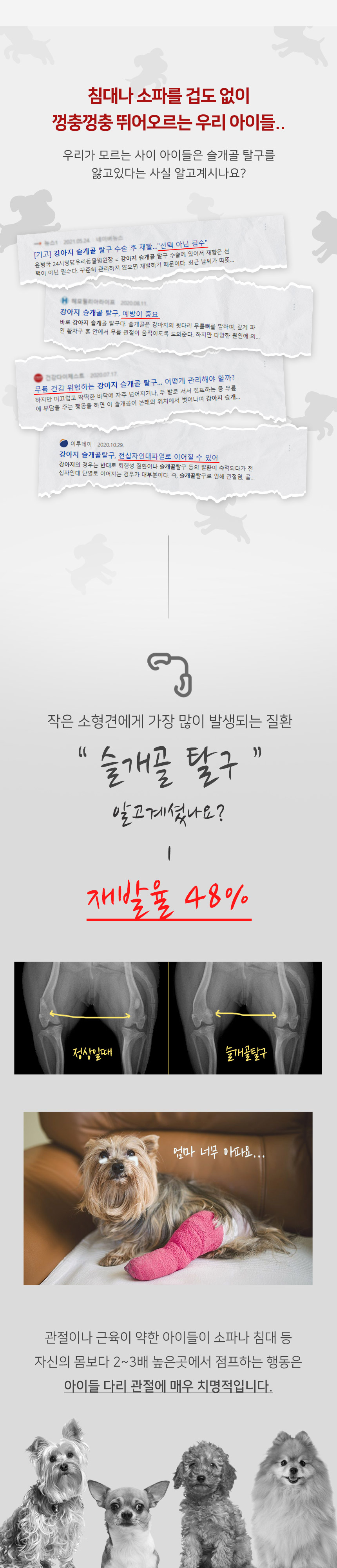 [무료배송] 초코펫하우스 쥬시폼폼 삼각 스텝 3단 옐로우/핑크 2번째