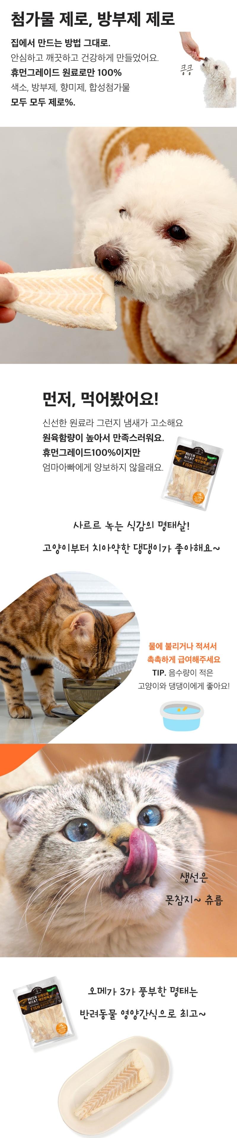[NEW신상][무료배송] 오래오래프로젝트 독 깨끗한 육포 동결건조 명태 20g 2번째
