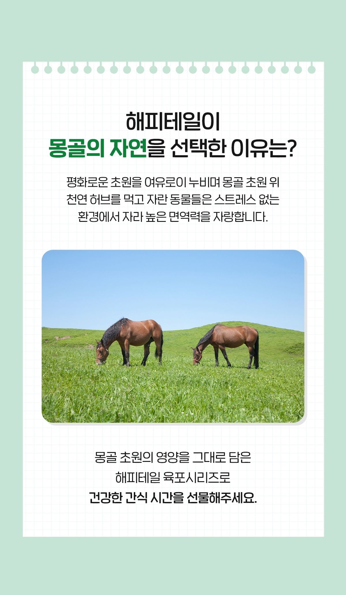 [NEW신상]해피테일 강아지 육포 말고기 40g 15번째