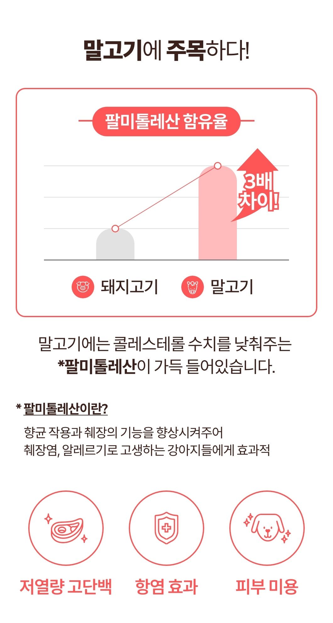[NEW신상]해피테일 강아지 육포 말고기 40g 13번째