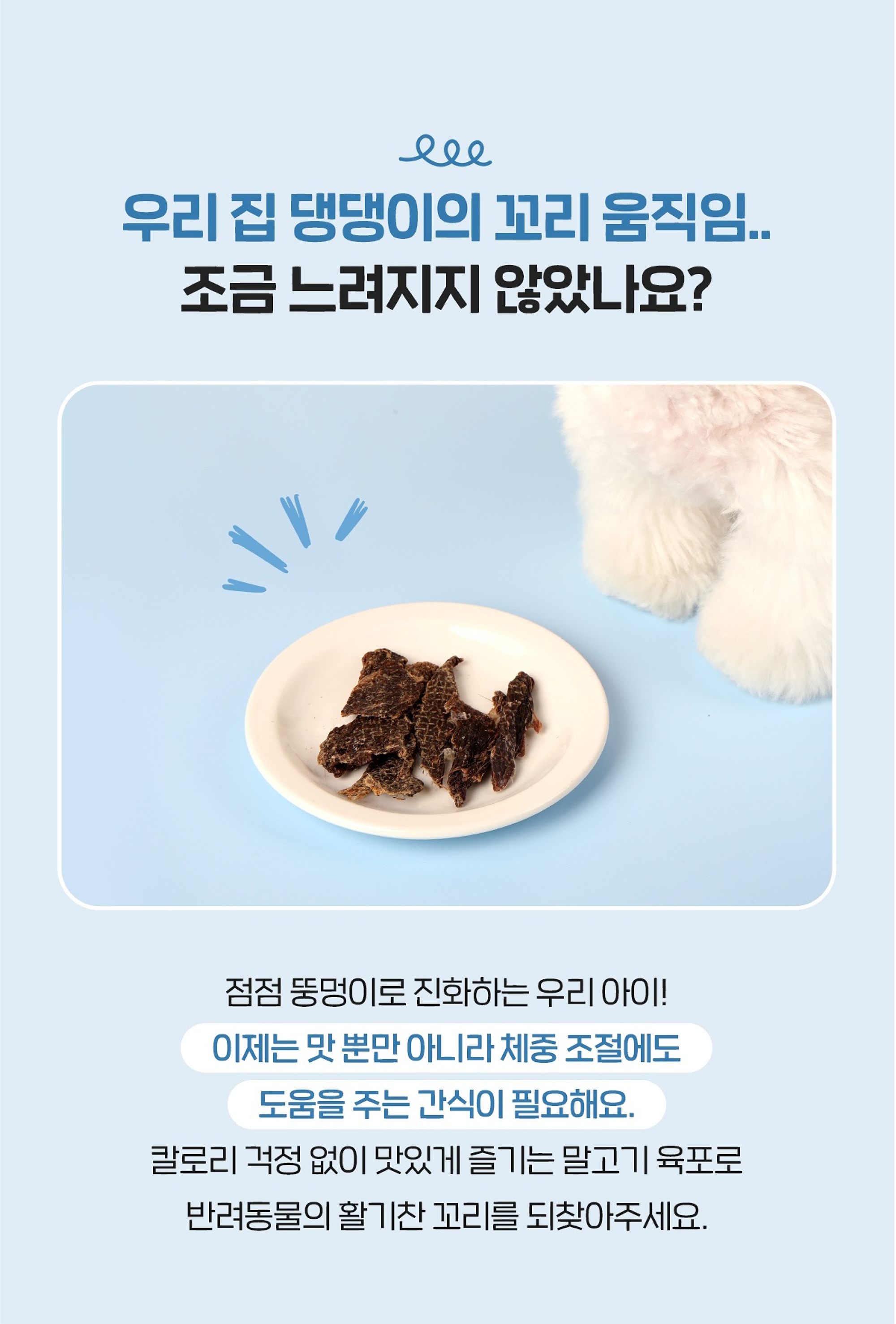 [NEW신상]해피테일 강아지 육포 말고기 40g 12번째