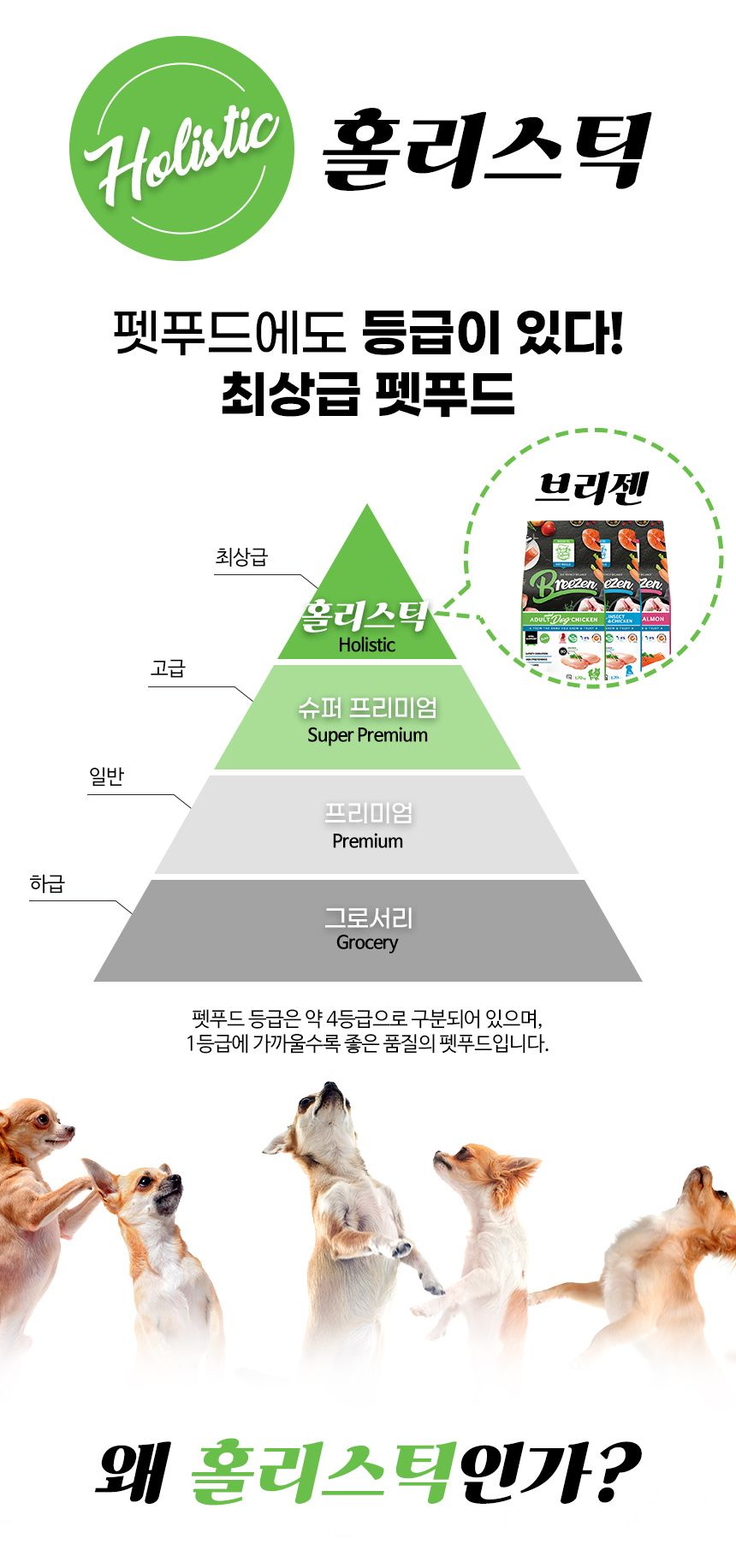브리젠 독 어덜트 미니치킨 5.44kg 21번째