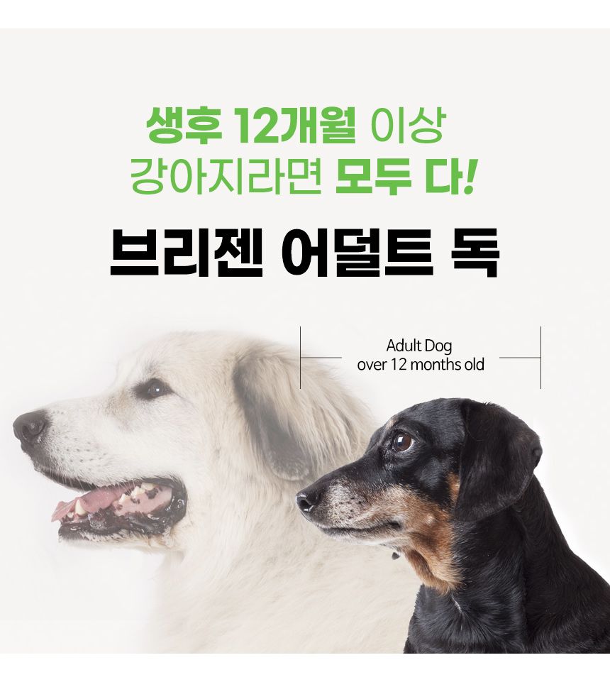 브리젠 독 어덜트 미니치킨 5.44kg 47번째