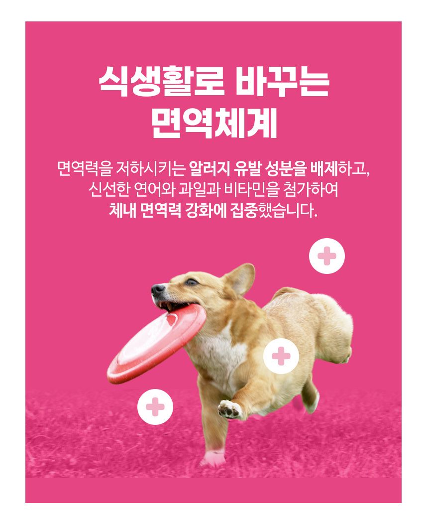 브리젠 독 어덜트 미니치킨 5.44kg 43번째