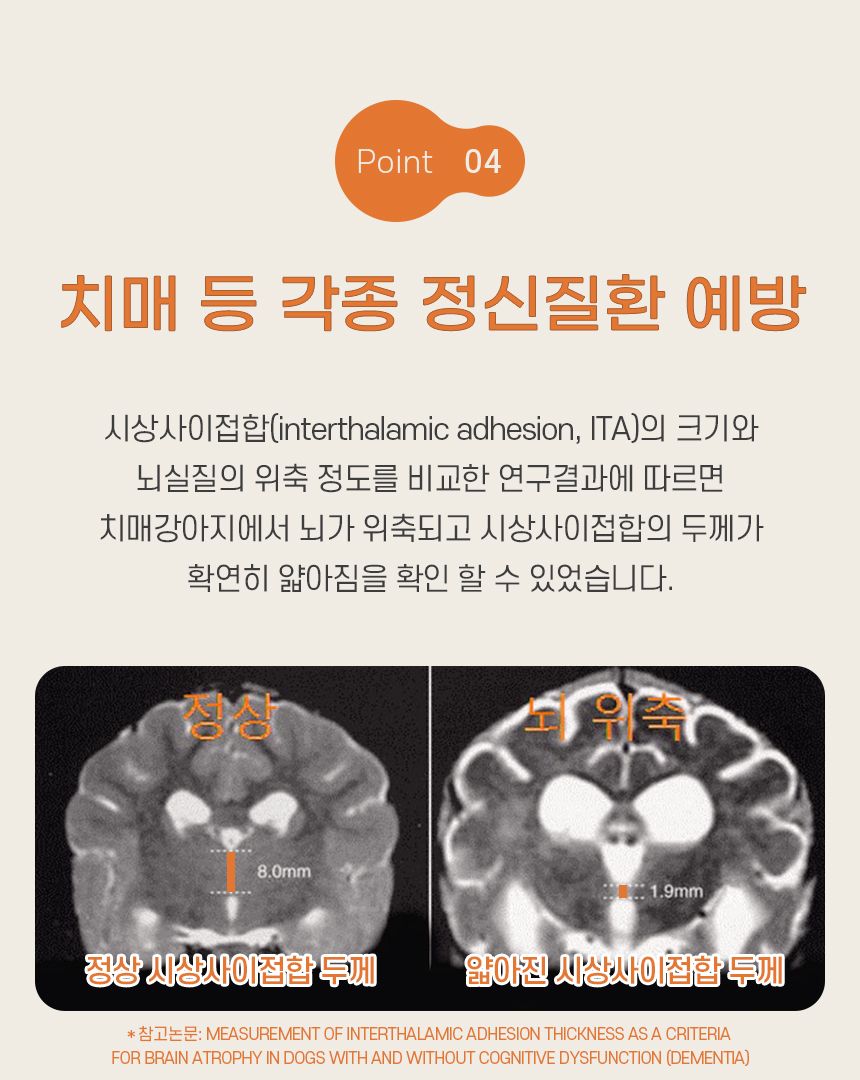 리스펫 말하는 강아지 지능개발 훈련벨 4종 세트 7번째
