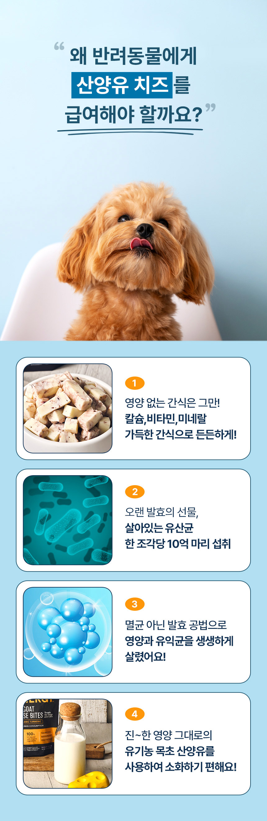 [NEW신상][무료배송] 앤서스펫푸드 발효 산양유 치즈 블루베리맛 2번째