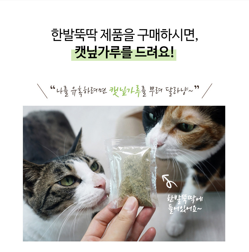 [NEW신상][무료배송] 펫토리아 고양이 골판지 스크래쳐 16종 [모음] 10번째
