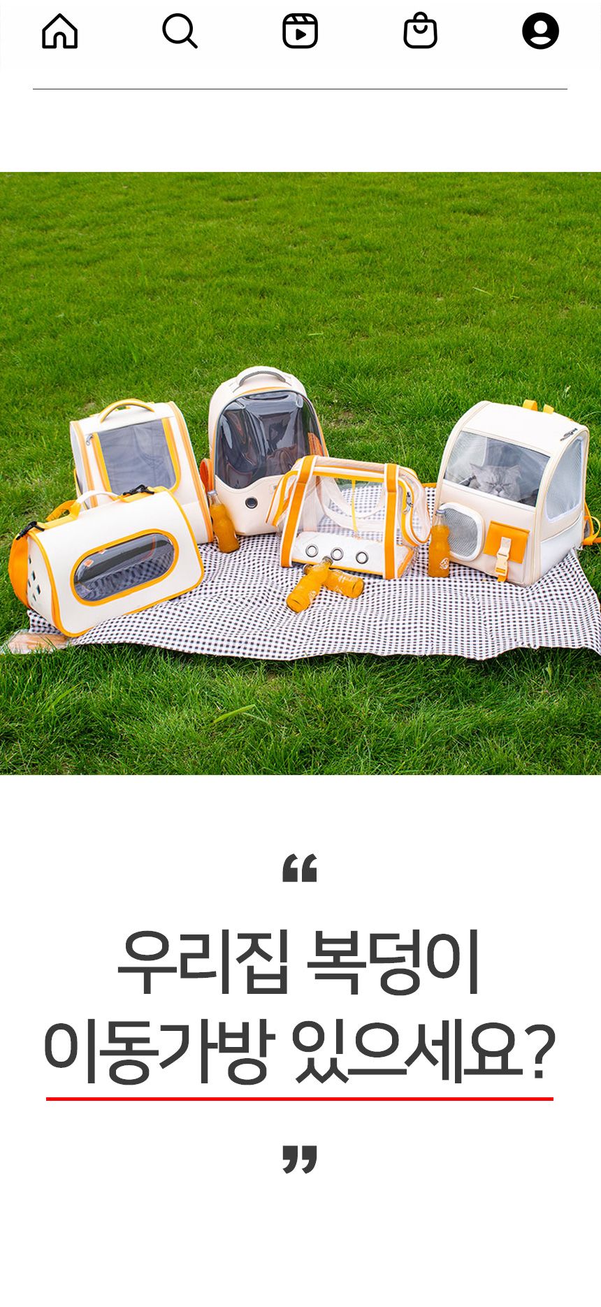[무료배송] 멍템 오렌지 이동가방 3번째