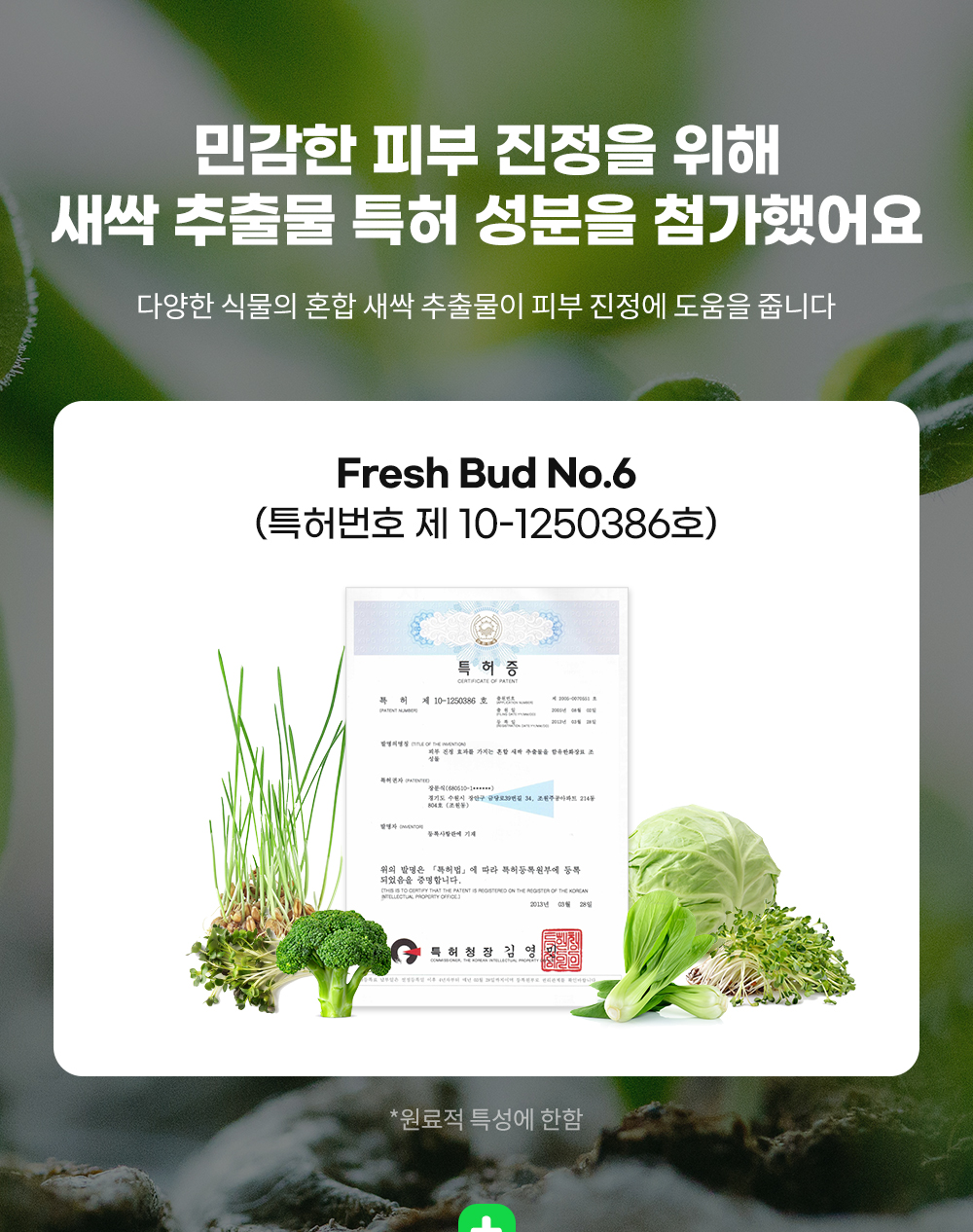 [무료배송] 래핑찰리 수딩 리무버 패드 20번째