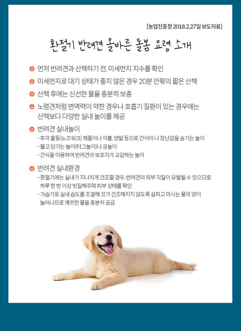 [NEW신상][무료배송] 엉클홈 인섹트플러스 강아지 피부 알러지 눈물 다이어트 곤충 사료 5kg(2.5kg*2개) 3번째