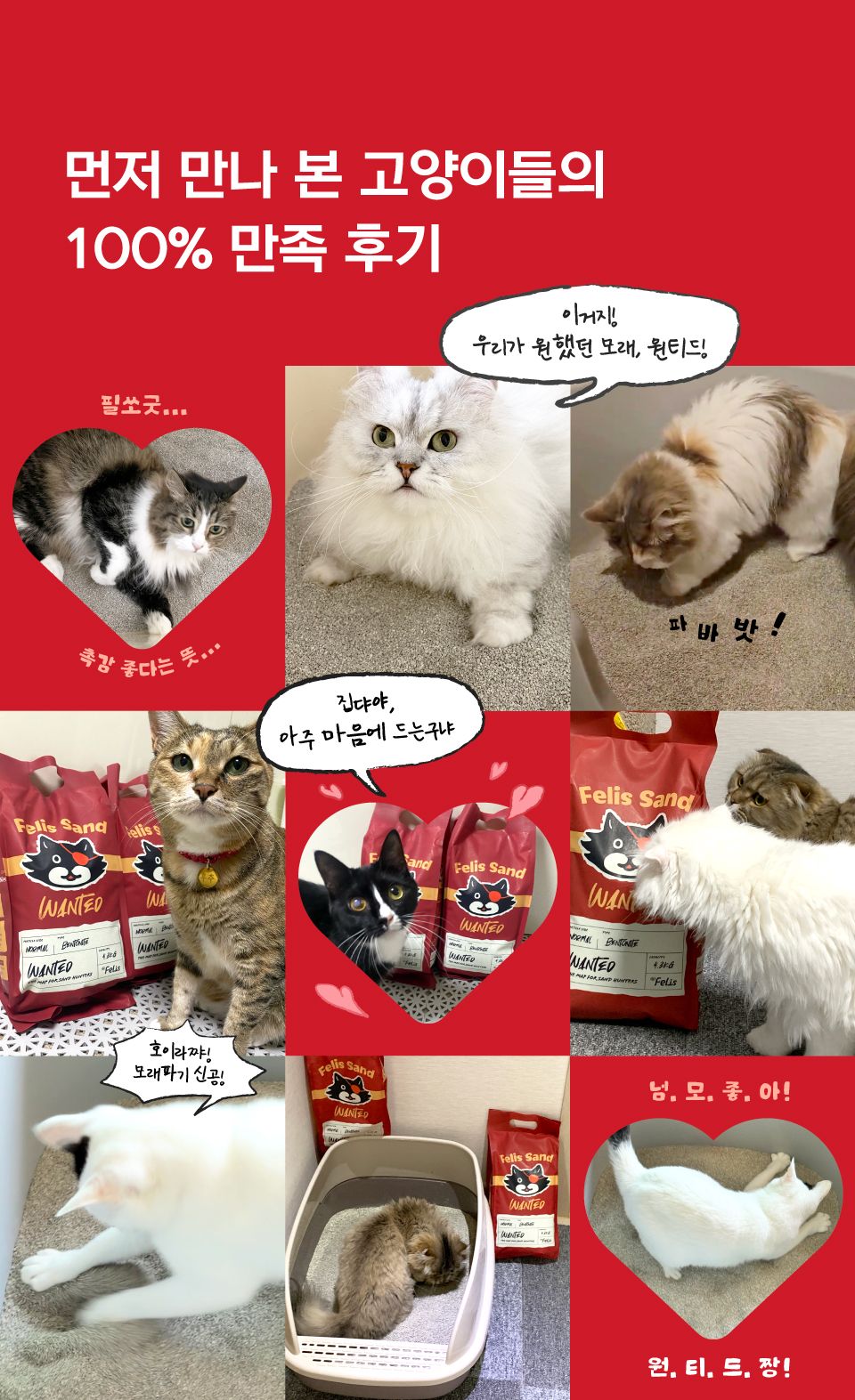 [특가할인]닥터펠리스 캣 펠리스샌드 원티드 4.3kg 18번째