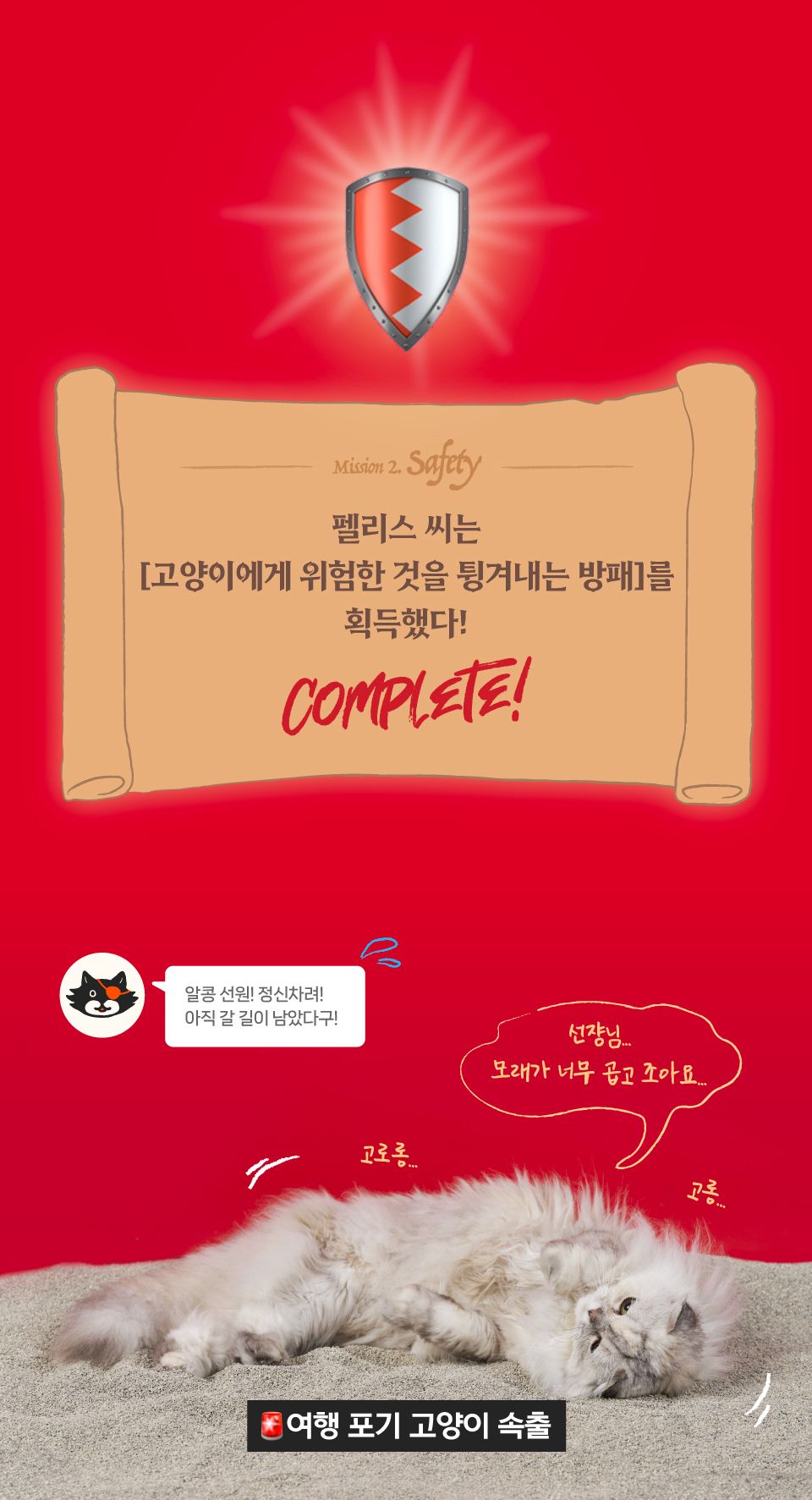 [특가할인]닥터펠리스 캣 펠리스샌드 원티드 4.3kg 13번째