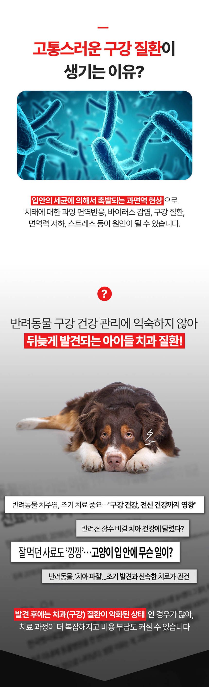 [NEW신상][무료배송] 프롬더셀 오랄리페어 구내염 겔타입 치료제 15g 3번째
