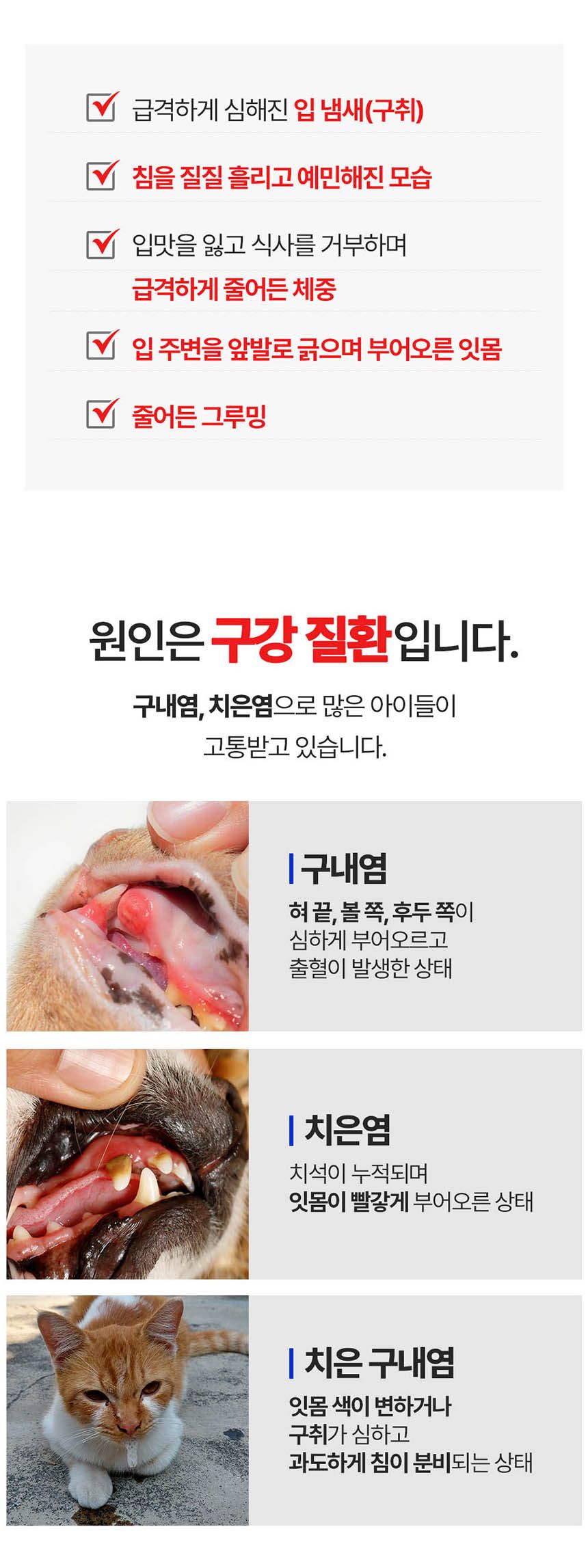[NEW신상][무료배송] 프롬더셀 오랄리페어 구내염 겔타입 치료제 15g 2번째