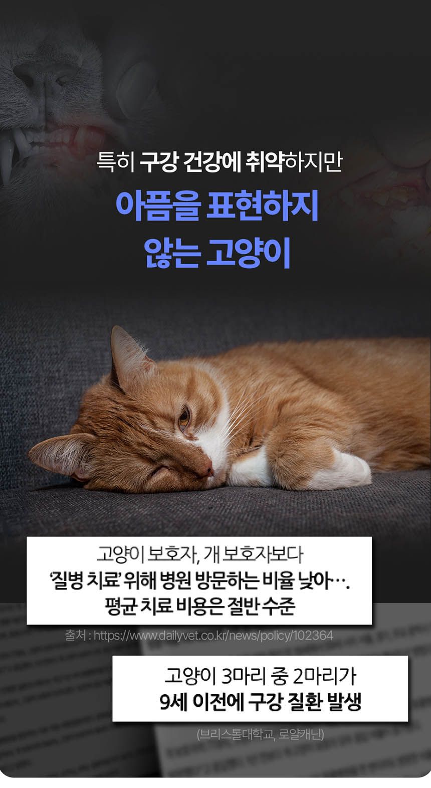[NEW신상][무료배송] 프롬더셀 오랄리페어 구내염 겔타입 치료제 15g 7번째