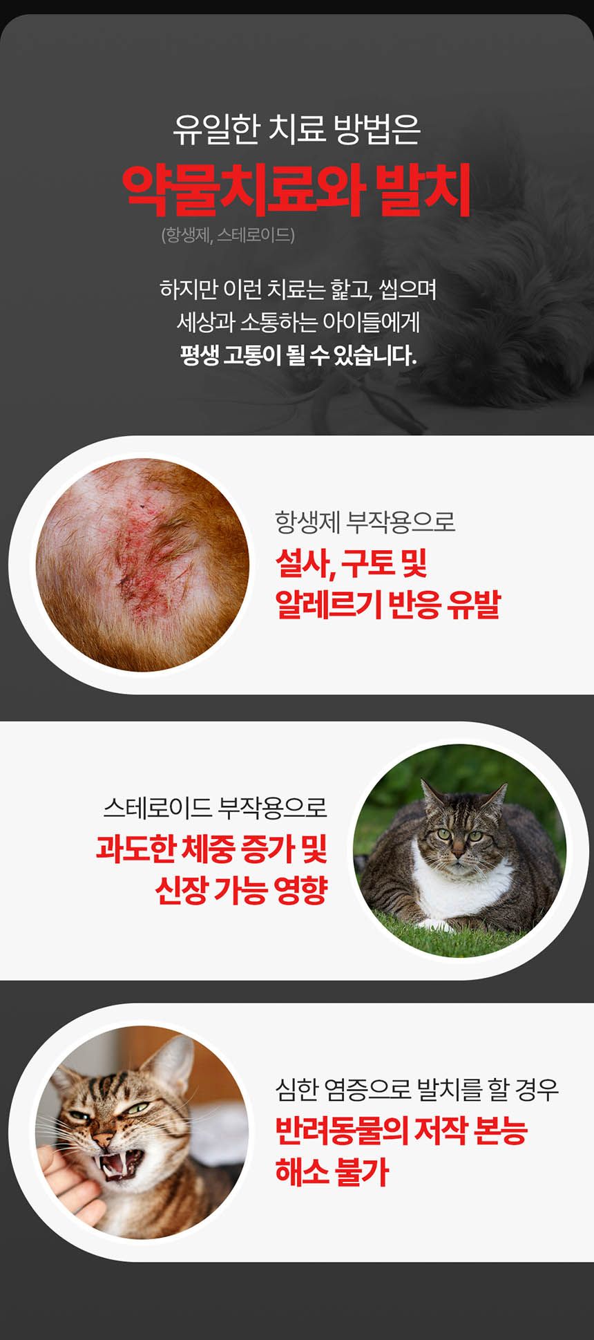[NEW신상][무료배송] 프롬더셀 오랄리페어 구내염 겔타입 치료제 15g 5번째