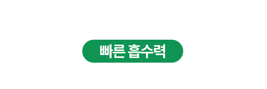 [NEW신상][무료배송] 벨버드 독 베이직 패드 100매 5번째
