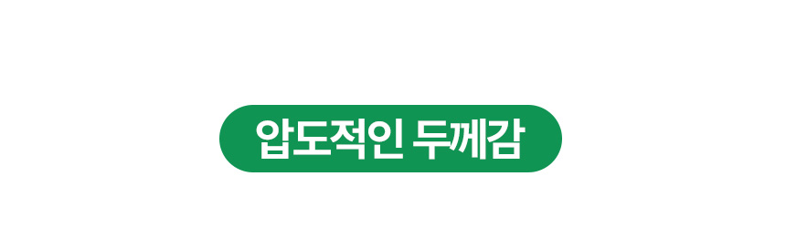 [NEW신상][무료배송] 벨버드 독 베이직 패드 100매 8번째