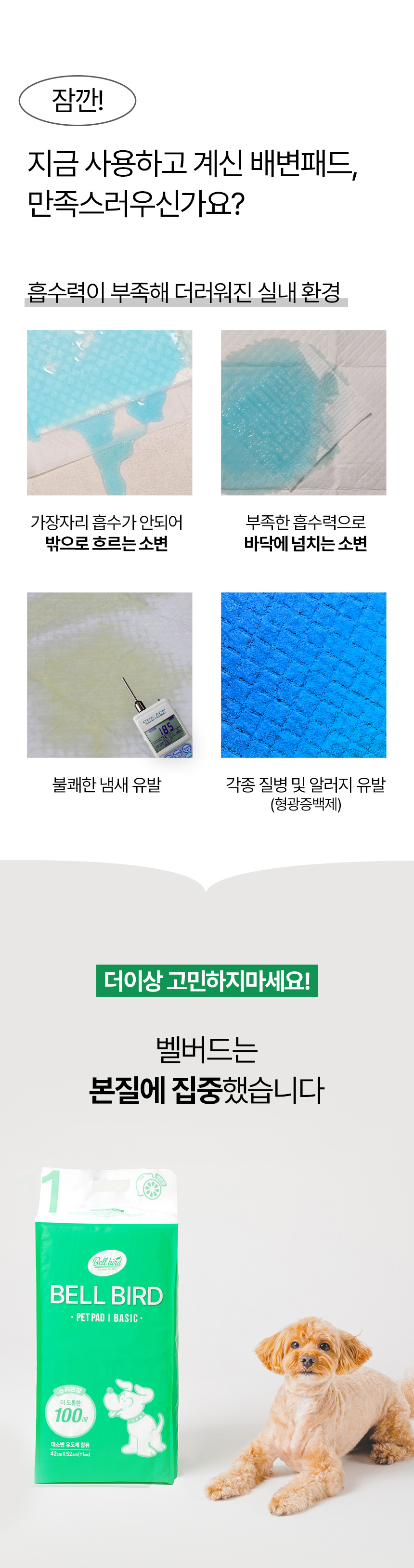 [NEW신상][무료배송] 벨버드 독 베이직 패드 100매 4번째