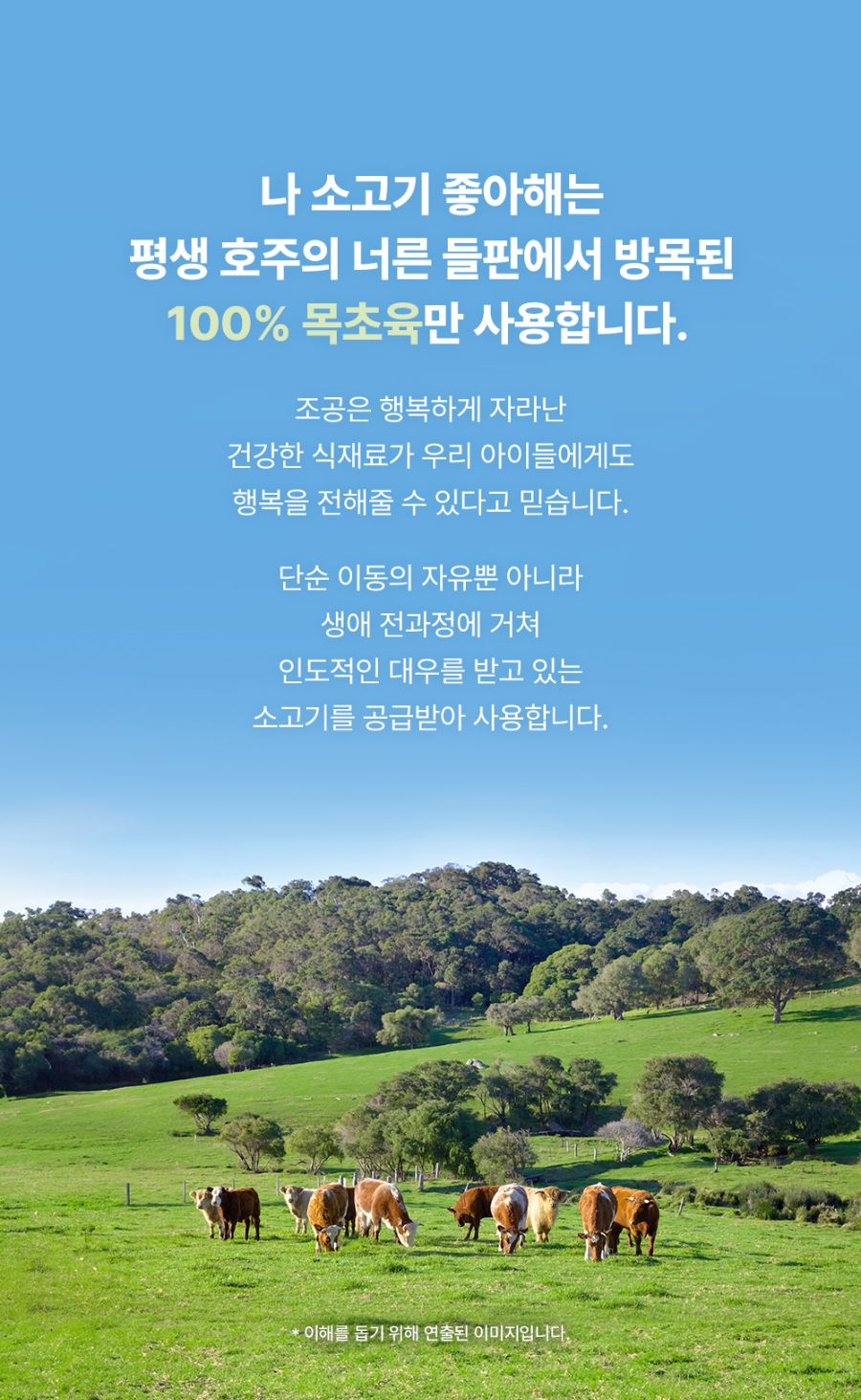 [NEW신상]조공 나 소고기 좋아해 15g*4p 8번째