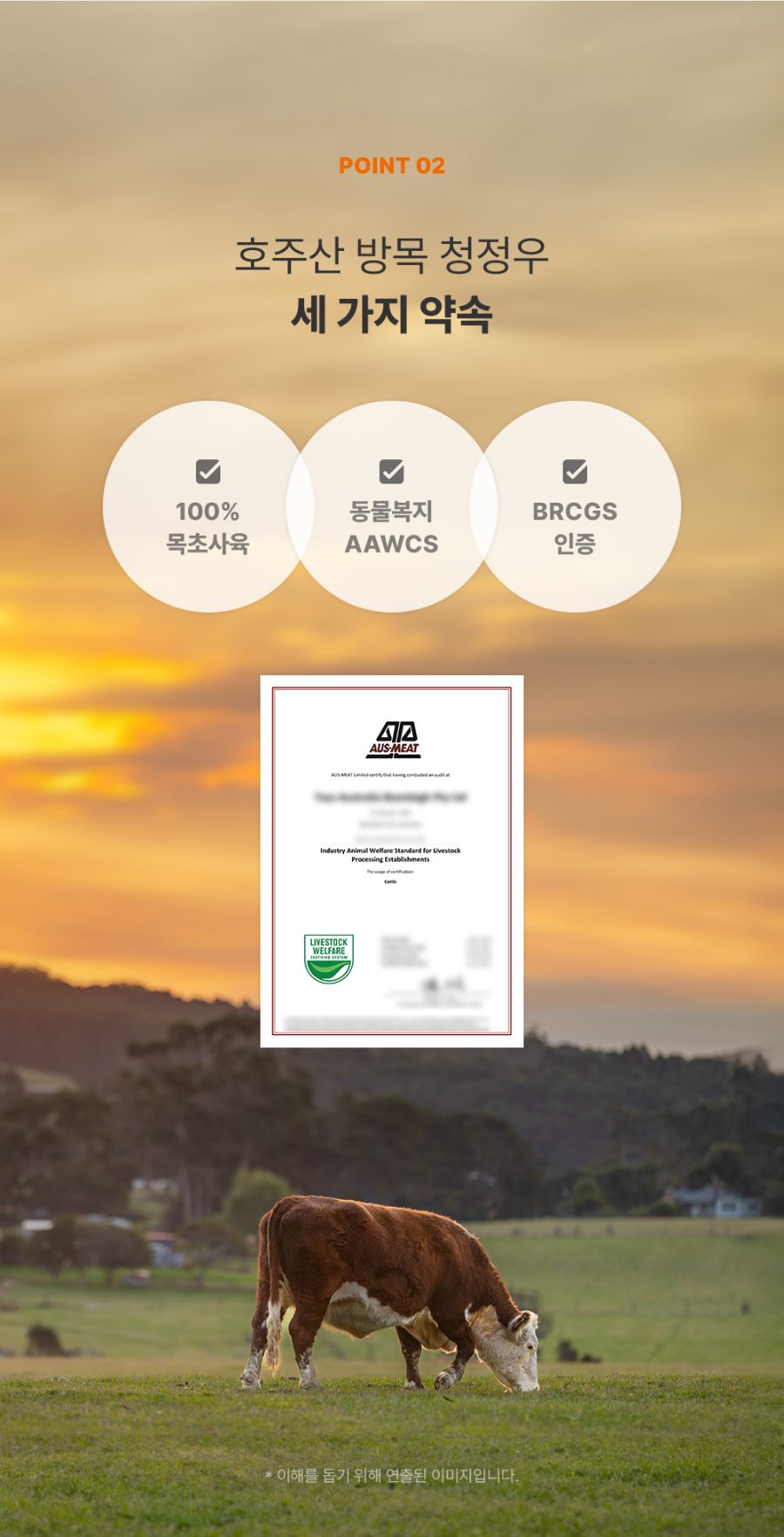 [NEW신상]조공 나 소고기 좋아해 15g*4p 11번째