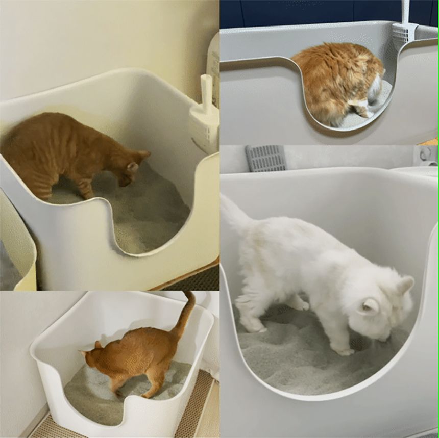 두잇 푸푸박스 큐브 화이트 5번째