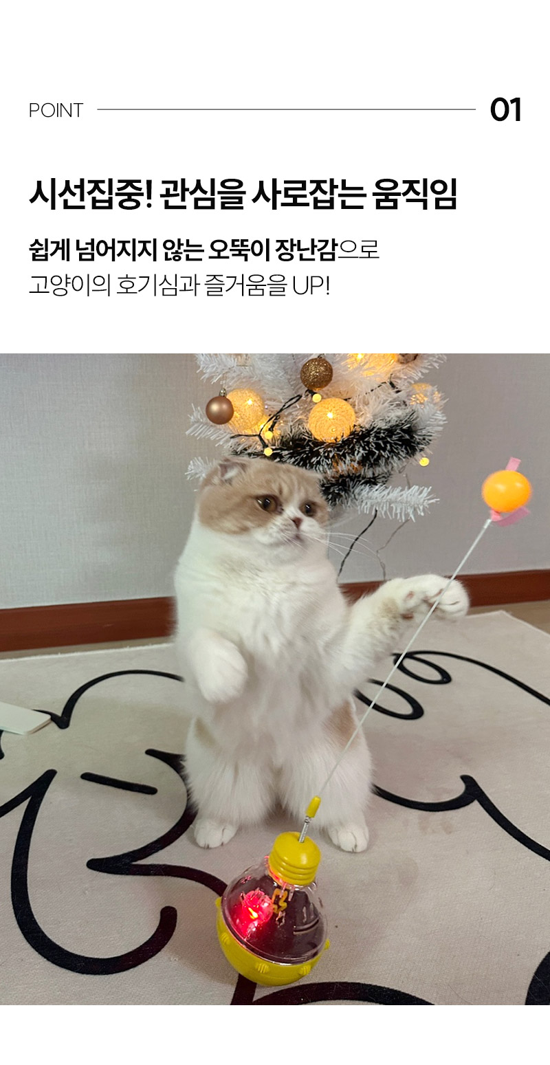 [무료배송] 보드미펫 캣 먹이퍼즐 장난감 핑크/옐로우/퍼플 5번째