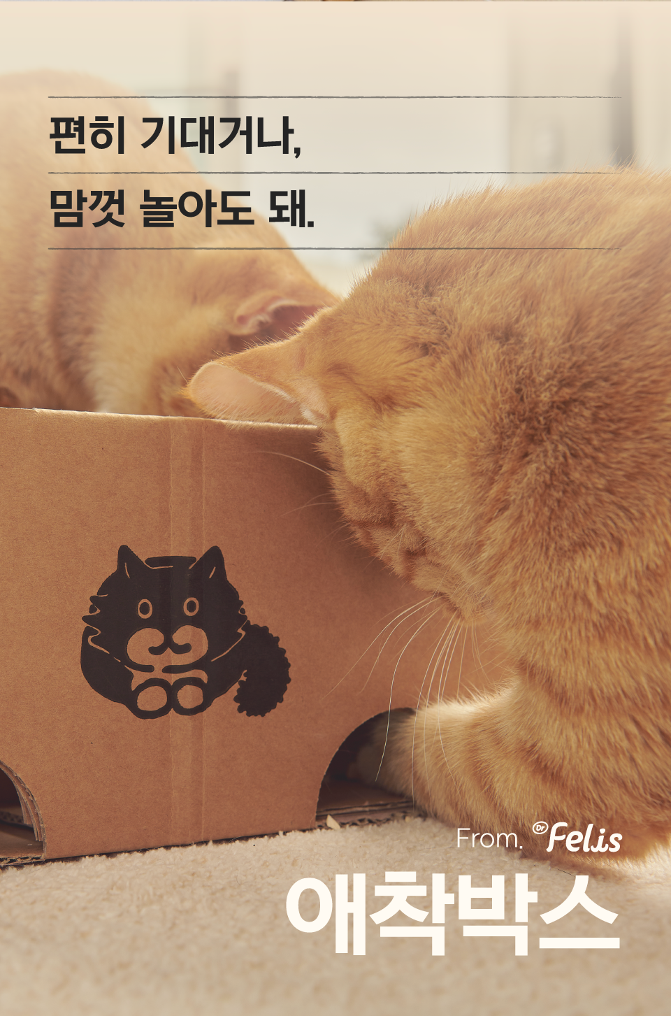 [특가할인]닥터펠리스 캣 애착박스 S/L 9번째