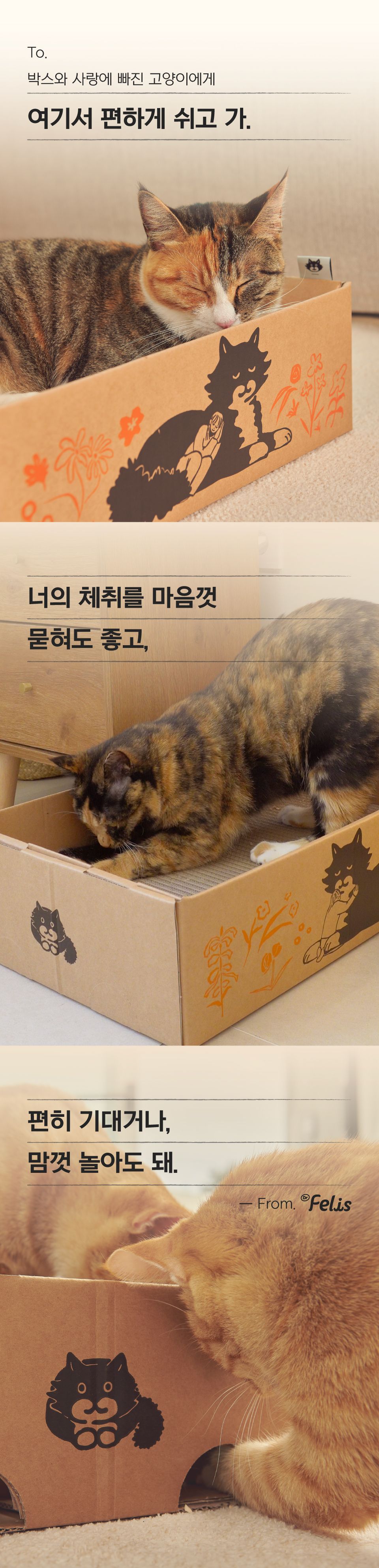 [특가할인]닥터펠리스 캣 애착박스 S/L 8번째