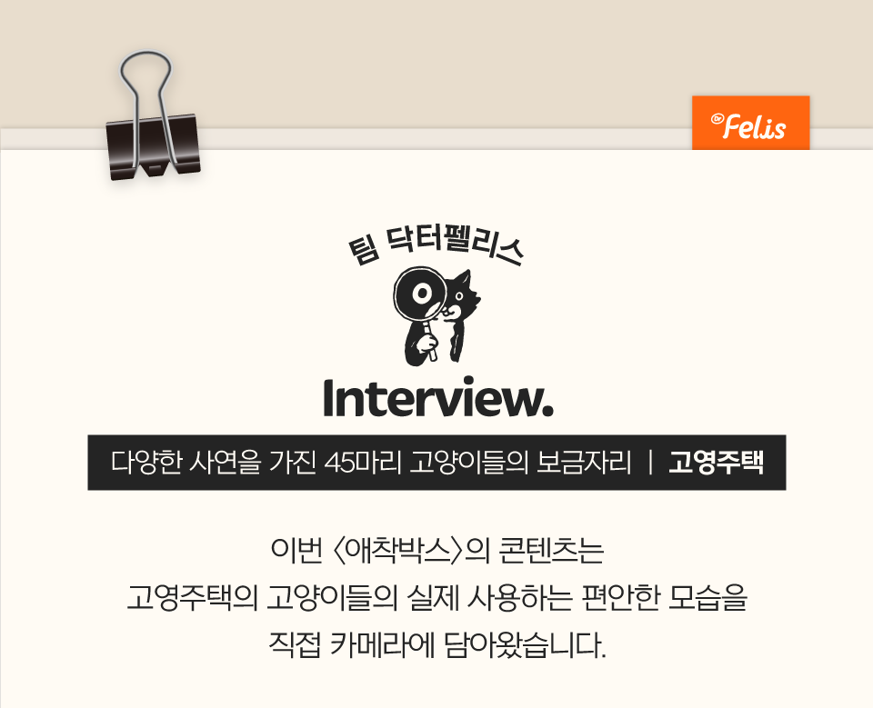 [특가할인]닥터펠리스 캣 애착박스 S/L 10번째