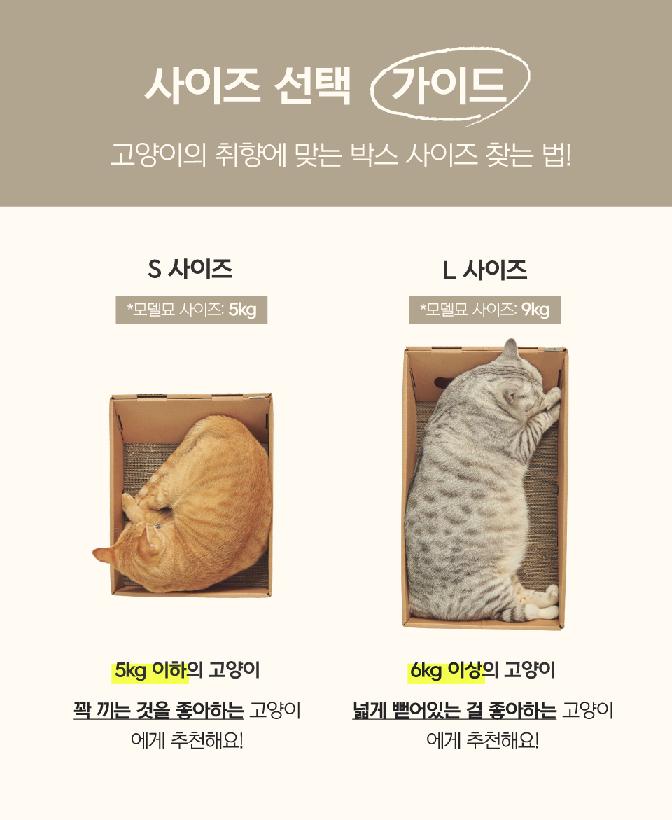[특가할인]닥터펠리스 캣 애착박스 S/L 1번째