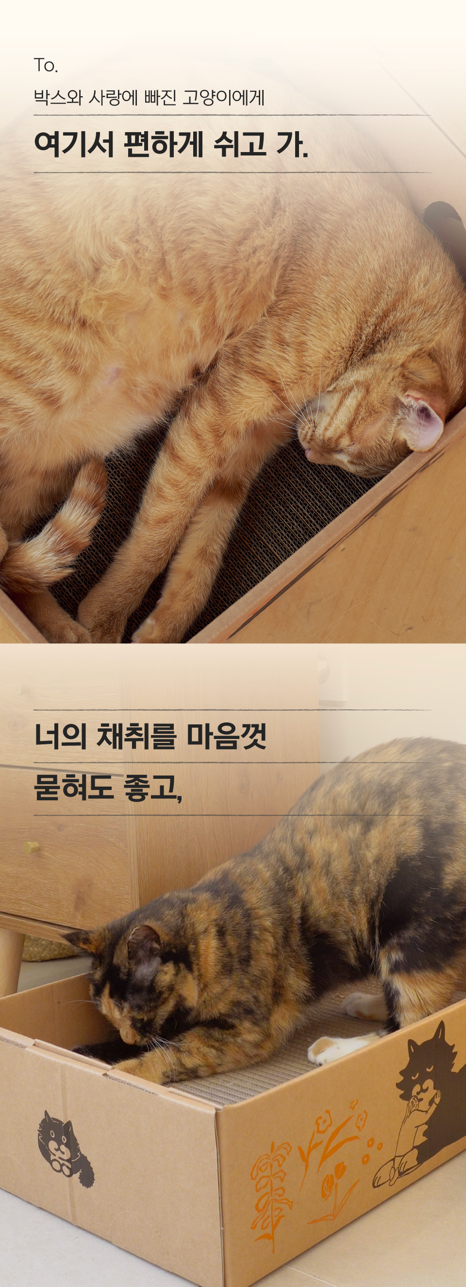 [특가할인]닥터펠리스 캣 애착박스 S/L 7번째