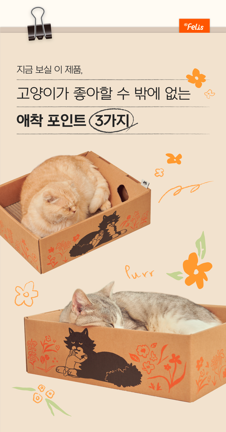 [특가할인]닥터펠리스 캣 애착박스 S/L 2번째