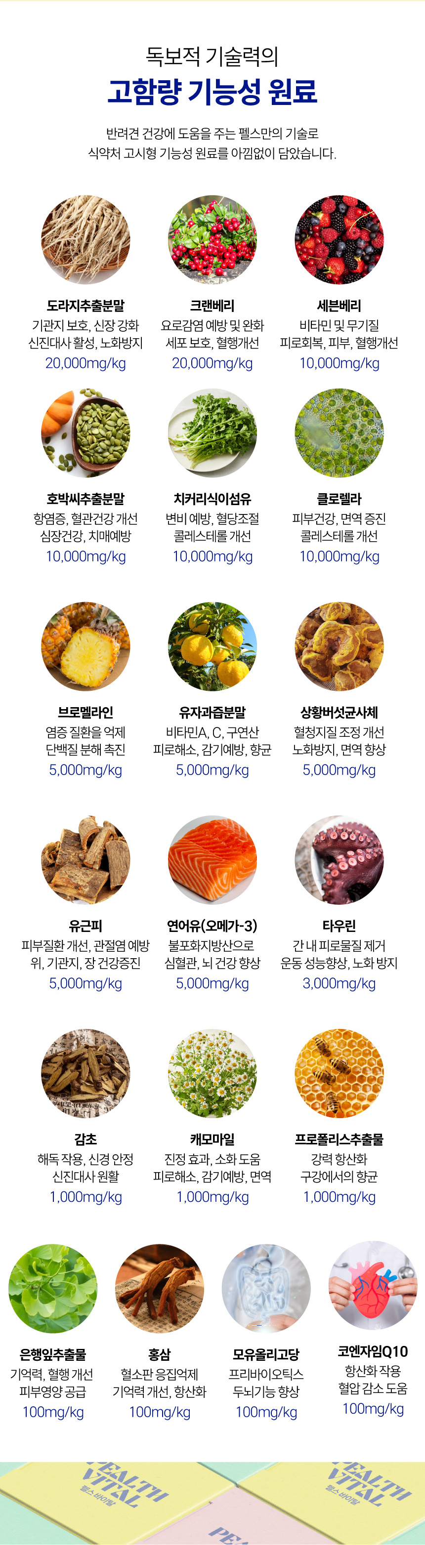 [NEW신상][무료배송] 펠스 독 펠스바이탈 기관지&심장&신장&신장&요로&면역 종합영양제 120g 5번째