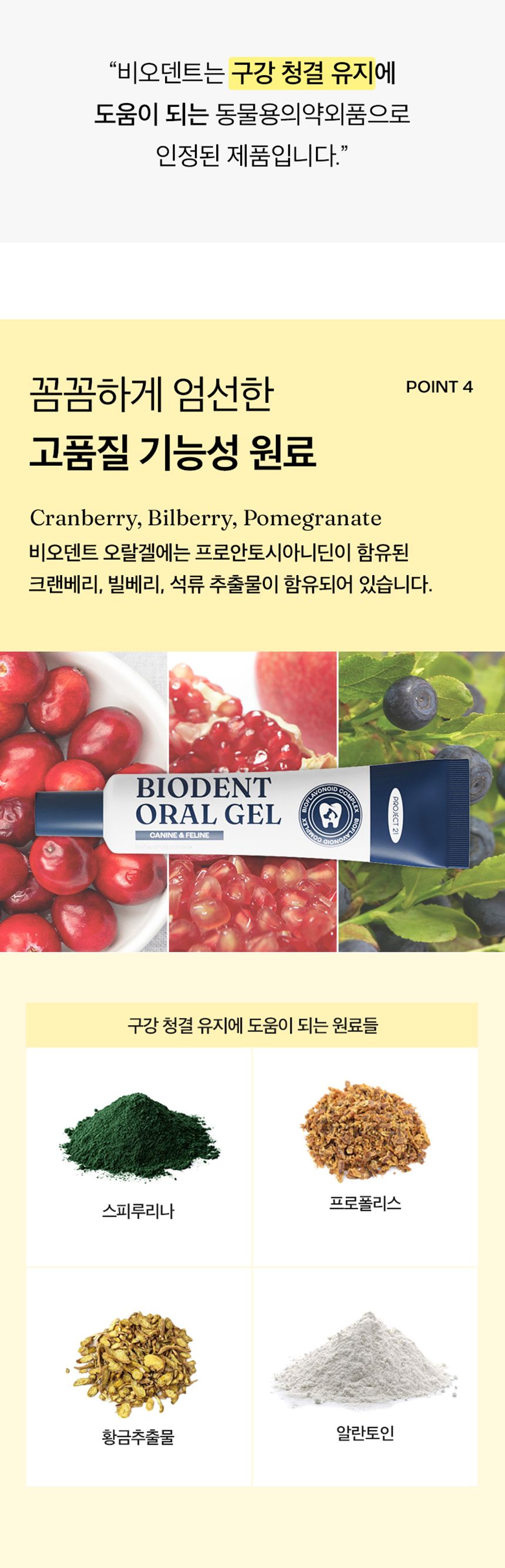 프로젝트21 비오덴트 오랄겔 40g 22번째