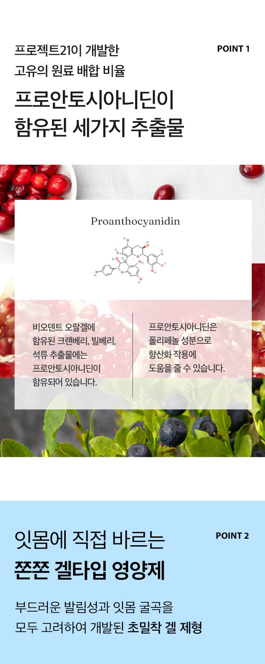 프로젝트21 비오덴트 오랄겔 40g 14번째