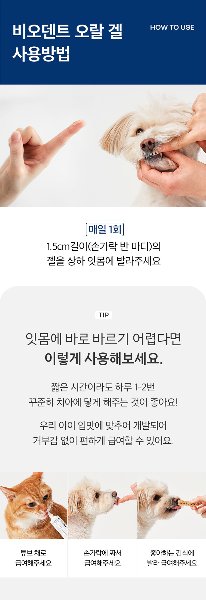 프로젝트21 비오덴트 오랄겔 40g 23번째