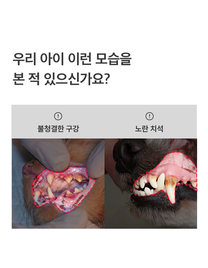 프로젝트21 비오덴트 오랄겔 40g 7번째